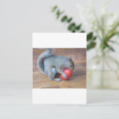 トマ遊トのリス ポストカード (スタンド正面)