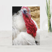 トミー カード (正面)