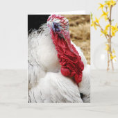 トミー カード (黄色い花)