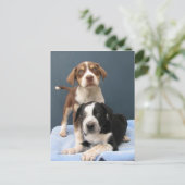 トミー&トビー ポストカード (スタンド正面)