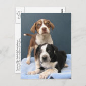 トミー&トビー ポストカード (正面/裏面)