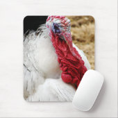 トミー マウスパッド (マウス)