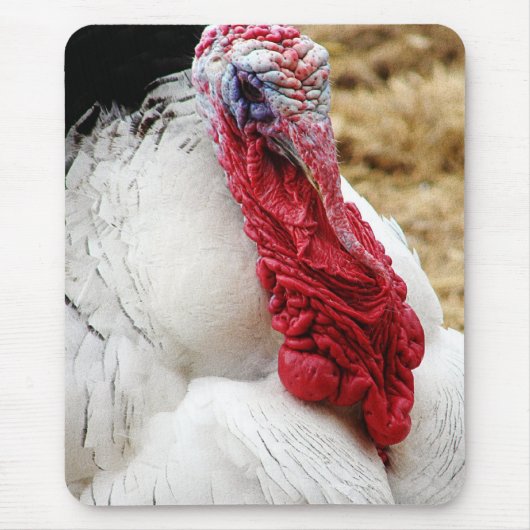 トミー マウスパッド (正面)