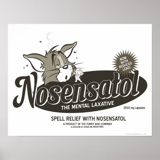 トムとジェリー・ノセサトール ポスター (正面)