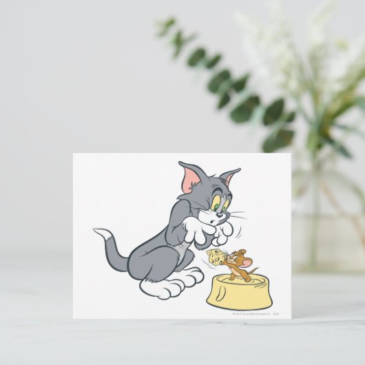 トムとジェリ食べ物を与えーの猫 ポストカード (スタンド正面)