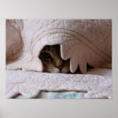 トムのポスターを覗く ポスター (正面)