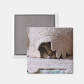 トムのマグネットの覗き見 マグネット (正面/裏面)