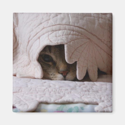 トムのマグネットの覗き見 マグネット (正面)