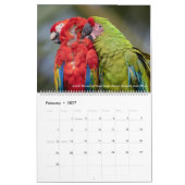 トムの脊柱の~ 2019のカレンダーの鳥の写真撮影 カレンダー (2月 2027)