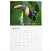 トムの脊柱の~ 2019のカレンダーの鳥の写真撮影 カレンダー (3月 2027)