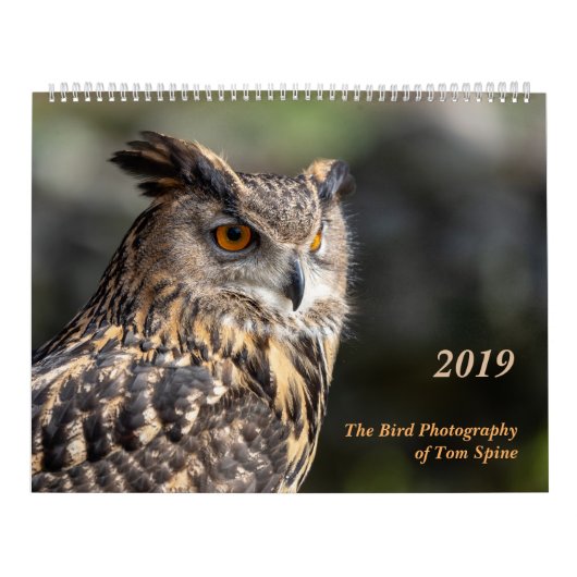 トムの脊柱の~ 2019のカレンダーの鳥の写真撮影 カレンダー (カバー)