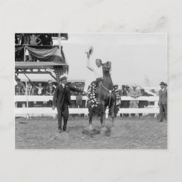 トムは人混みに波を混ぜる ポストカード