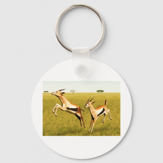 トムソンガゼル キーホルダー (正面)