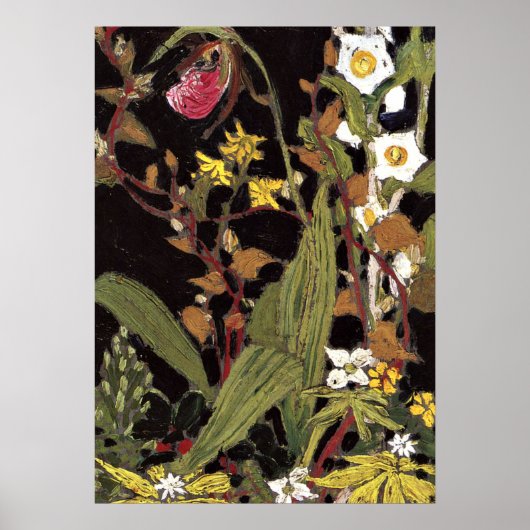 トムソン – アゴンキンパーク ポスター (正面)