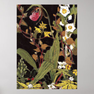 トムソン – アゴンキンパーク ポスター