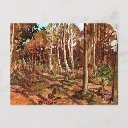 トムソン – アルゴンキンパークの景色 ポストカード (正面)