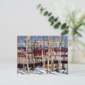 トムソン – オープン・ウォーター、ジョー・クリーク ポストカード (スタンド正面)