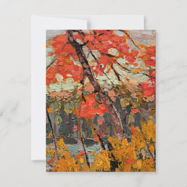 トムトムソン – ツイストメープル (正面)