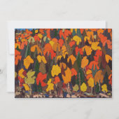 トムトムソン – 秋 (正面)