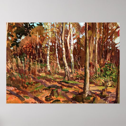 トムトムトムソン – アルゴンキンパークの景色 ポスター (正面)