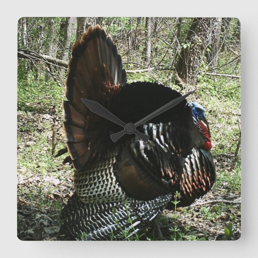 トムトルコの完全な支柱の正方形の柱時計 スクエア壁時計 (正面)