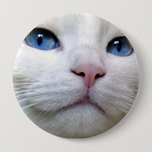 トムボタン 缶バッジ (正面)