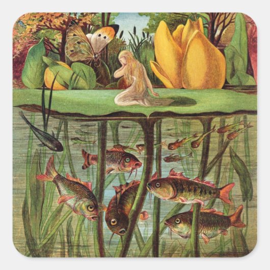 トムメリは睡蓮の葉の上で非常に荒涼としていた。 スクエアシール (正面)