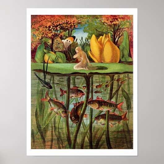 トムメリは睡蓮の葉の上で非常に荒涼としていた。 ポスター (正面)