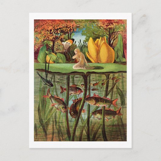 トムメリは睡蓮の葉の上で非常に荒涼としていた。 ポストカード (正面)