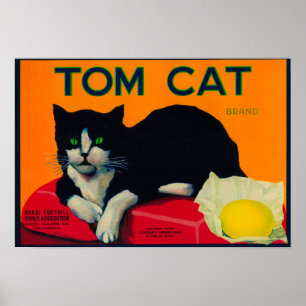 トム猫レモンLabelOrosi、カリフォルニア ポスター