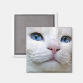 トム磁石 マグネット (正面/裏面)