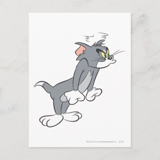 トム蒸し ポストカード (正面)