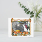 トム·ザ·ピルグリム·トルコの幸せな感謝祭 シーズンポストカード (スタンド正面)