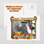 トム·ザ·ピルグリム·トルコの幸せな感謝祭 シーズンポストカード (正面/裏面)