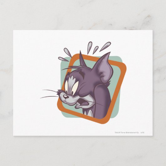 トム・スカレディ・キャット ポストカード (正面)