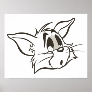 トム・スリーピー・キャット ポスター