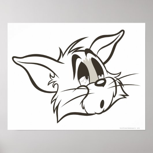 トム・スリーピー・キャット ポスター (正面)