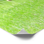 トム・ターキー・フェザー・ディスプレイ ポスター (角)