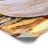 トム・トムソン – カヌーのキャンバス、 ポスター (角)