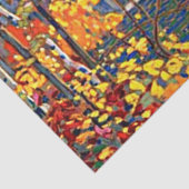 トム・トムソン – ザプール 薄葉紙 (詳細)