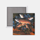 トム・トムソン – 3マス マグネット (正面/裏面)