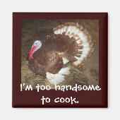 トム・トルコ磁石 マグネット (正面)