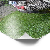 トム・トルコ フォトプリント            (角)