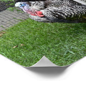 トム・トルコ ポスター (角)