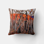 トム・トンプ絵画ンのアルゴンキン・パーク クッション (裏面)