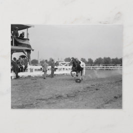 トム・ミックスが帽子を集める ポストカード