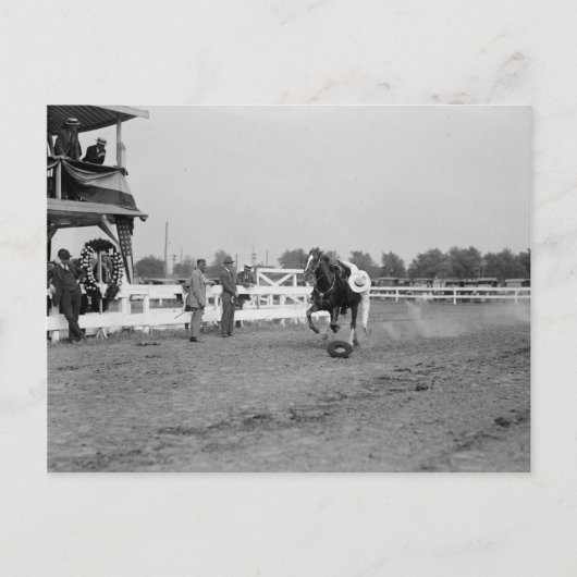 トム・ミックスが帽子を集める ポストカード (正面)