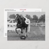 トム・ミックストリック・ライディング ポストカード (正面/裏面)