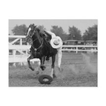 トム・ミックストリック・ライディング