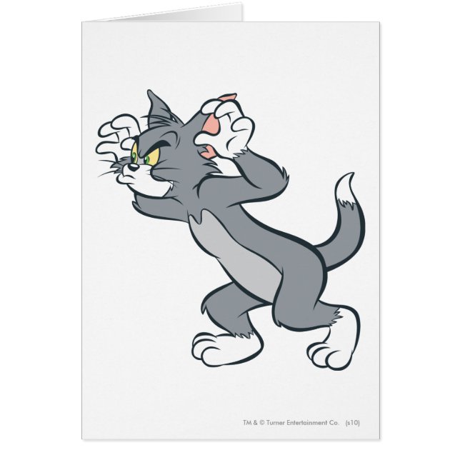 トム・レディ (正面)